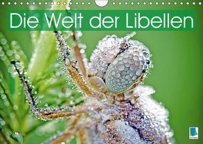 Die Welt der Libellen (Wandkalender 2019 DIN A4 quer) von CALVENDO