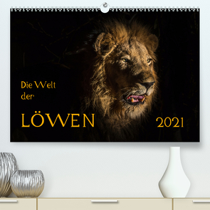 Die Welt der Löwen (Premium, hochwertiger DIN A2 Wandkalender 2021, Kunstdruck in Hochglanz) von Bethke,  Barbara