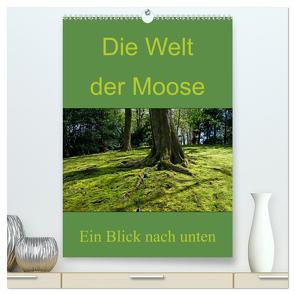 Die Welt der Moose. Ein Blick nach unten (hochwertiger Premium Wandkalender 2024 DIN A2 hoch), Kunstdruck in Hochglanz von Lewald,  Dominik