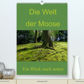 Die Welt der Moose. Ein Blick nach unten (Premium, hochwertiger DIN A2 Wandkalender 2022, Kunstdruck in Hochglanz) von Lewald,  Dominik