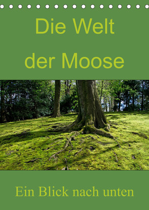 Die Welt der Moose. Ein Blick nach unten (Tischkalender 2023 DIN A5 hoch) von Lewald,  Dominik