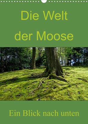 Die Welt der Moose. Ein Blick nach unten (Wandkalender 2023 DIN A3 hoch) von Lewald,  Dominik