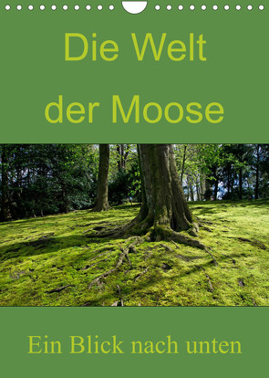 Die Welt der Moose. Ein Blick nach unten (Wandkalender 2023 DIN A4 hoch) von Lewald,  Dominik