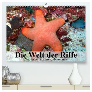 Die Welt der Riffe. Seesterne, Korallen, Anemonen (hochwertiger Premium Wandkalender 2024 DIN A2 quer), Kunstdruck in Hochglanz von Stanzer,  Elisabeth