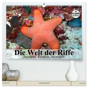 Die Welt der Riffe. Seesterne, Korallen, Anemonen (hochwertiger Premium Wandkalender 2024 DIN A2 quer), Kunstdruck in Hochglanz von Stanzer,  Elisabeth