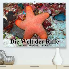 Die Welt der Riffe. Seesterne, Korallen, Anemonen (Premium, hochwertiger DIN A2 Wandkalender 2023, Kunstdruck in Hochglanz) von Stanzer,  Elisabeth