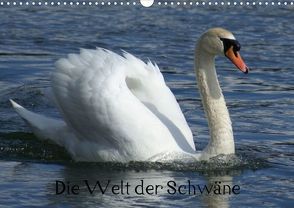 Die Welt der Schwäne (Posterbuch DIN A3 quer) von Kattobello,  k.A.