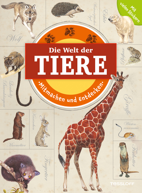 Mitmachen und Entdecken: Die Welt der Tiere von Egan,  Vicky, Kuhlmeier,  Antje