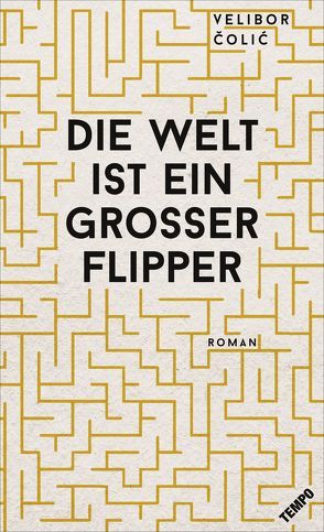 Die Welt ist ein großer Flipper von Colic,  Velibor, Steinitz,  Claudia