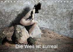 Die Welt ist surreal (Tischkalender 2019 DIN A5 quer) von F. Svetitsch,  Peter