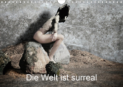 Die Welt ist surreal (Wandkalender 2020 DIN A4 quer) von F. Svetitsch,  Peter