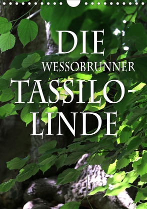 Die Wessobrunner Tassilolinde (Wandkalender 2020 DIN A4 hoch) von N.,  N.