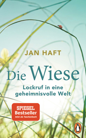 Die Wiese von Haft,  Jan