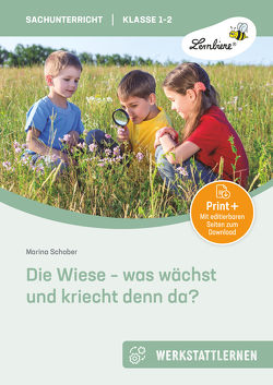 Die Wiese – was wächst und kriecht denn da? von Schober,  Marina