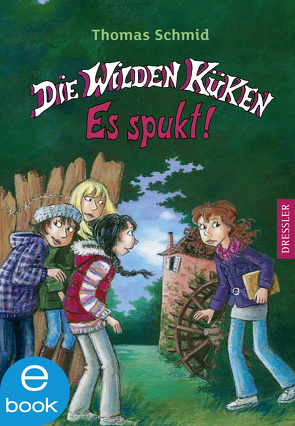 Die Wilden Küken 4. Es spukt! von Schmid,  Thomas, Skibbe,  Edda