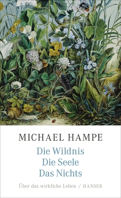 Die Wildnis, die Seele, das Nichts von Hampe,  Michael