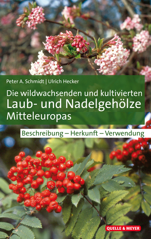 Die wildwachsenden und kultivierten Laub- und Nadelgehölze Mitteleuropas von Hecker,  Ulrich, Schmidt,  Peter A