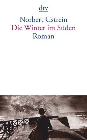 Die Winter im Süden von Gstrein,  Norbert