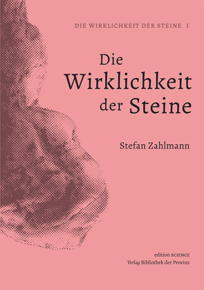 Die Wirklichkeit der Steine von Zahlmann,  Stefan