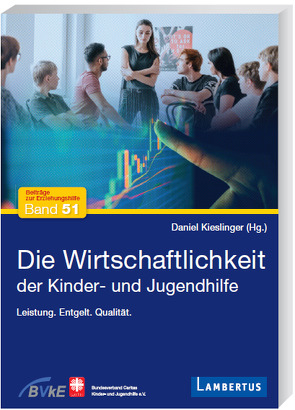 Die Wirtschaftlichkeit der Kinder- und Jugendhilfe von Kieslinger,  Daniel