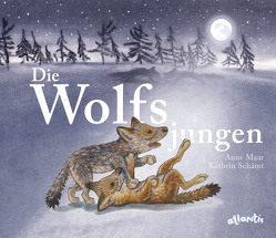 Die Wolfsjungen von Maar,  Anne, Schärer,  Kathrin