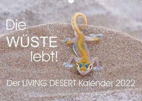 Die Wüste lebt! – Der LIVING DESERT Kalender 2022 (Wandkalender 2022 DIN A3 quer) von van der Wiel www.kalender-atelier.de,  Irma