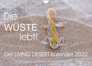 Die Wüste lebt! – Der LIVING DESERT Kalender 2022 (Wandkalender 2022 DIN A4 quer) von van der Wiel www.kalender-atelier.de,  Irma