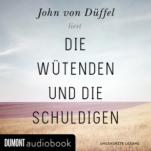 Die Wütenden und die Schuldigen von Düffel,  John von