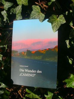 Die Wunder des „Camino“ von Schmid,  Gabriele