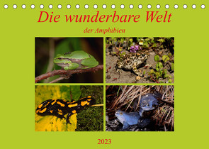 Die wunderbare Welt der Amphibien (Tischkalender 2023 DIN A5 quer) von Erlwein,  Winfried