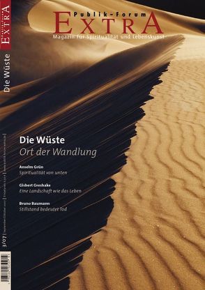 Die Wüste – Ort der Wandlung von Baumann,  Bruno, Greshake,  Gisbert, Grün,  Anselm, Hofmeister,  Klaus, Jabir,  Brahim, Kugele,  Jürgen, Mende,  Claudia, Modehn,  Christian, Morgenroth,  Matthias, Quarch,  Christoph, Schwinn,  Florian, Wegner-Nord,  Helwig, Werner,  Jürgen