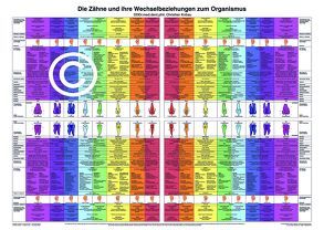 Die Zähne und ihre Wechselbeziehungen zum Organismus von Kobau DDDr.,  Christian, Kobau Dr.,  Irene