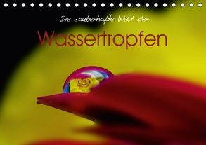 Die zauberhafte Welt der Wassertropfen (Tischkalender 2018 DIN A5 quer) von Rajbar,  Ludvik