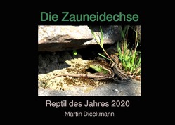 Die Zauneidechse von Dieckmann,  Martin