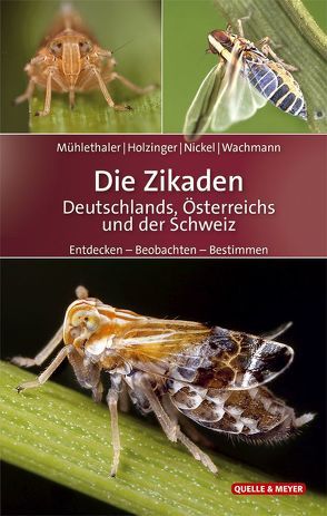 Die Zikaden Deutschlands, Österreichs und der Schweiz von Holzinger,  Werner, Mühlethaler,  Roland, Nickel,  Herbert, Wachmann,  Ekkehard