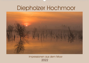 Diepholzer Hochmoor (Wandkalender 2022 DIN A2 quer) von N.,  N.