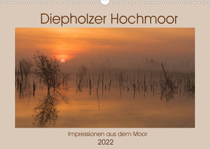 Diepholzer Hochmoor (Wandkalender 2022 DIN A3 quer) von N.,  N.