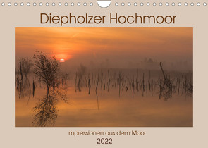 Diepholzer Hochmoor (Wandkalender 2022 DIN A4 quer) von N.,  N.