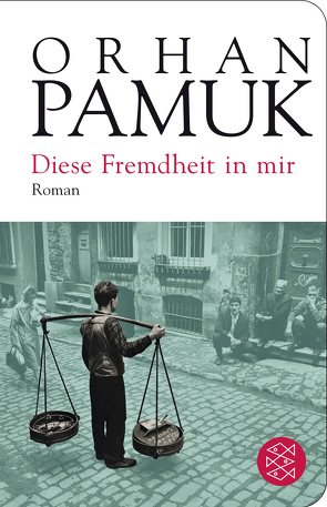 Diese Fremdheit in mir von Meier,  Gerhard, Pamuk,  Orhan