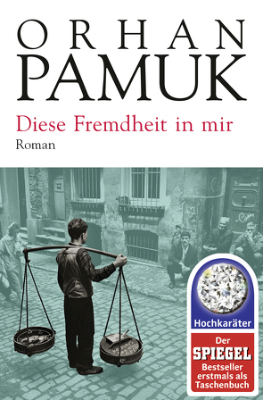 Diese Fremdheit in mir von Meier,  Gerhard, Pamuk,  Orhan