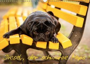 Diesel, der schwarze Mops (Wandkalender 2018 DIN A3 quer) von FotosVonMaja