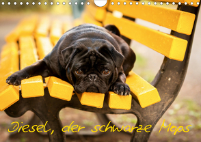 Diesel, der schwarze Mops (Wandkalender 2020 DIN A4 quer) von FotosVonMaja