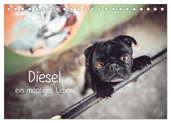 Diesel – ein mopsiges Leben (Tischkalender 2024 DIN A5 quer), CALVENDO Monatskalender von Wobith Photography - FotosVonMaja,  Sabrina