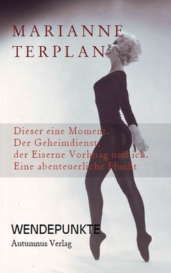 Dieser eine Moment von Terplan,  Marianne