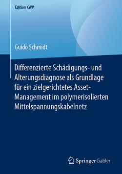 Differenzierte Schädigungs- und Alterungsdiagnose als Grundlage für ein zielgerichtetes Asset-Management im polymerisolierten Mittelspannungskabelnetz von Schmidt,  Guido