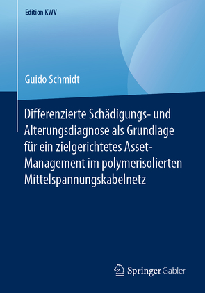 Differenzierte Schädigungs- und Alterungsdiagnose als Grundlage für ein zielgerichtetes Asset-Management im polymerisolierten Mittelspannungskabelnetz von Schmidt,  Guido