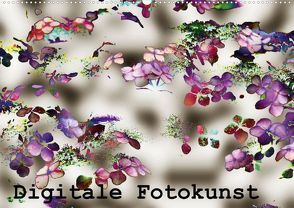 Digitale Fotokunst (Posterbuch DIN A2 quer) von Hebgen,  Peter
