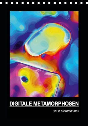 DIGITALE METAMORPHOSEN – NEUE SICHTWEISEN (Tischkalender 2019 DIN A5 hoch) von Borgulat,  Michael