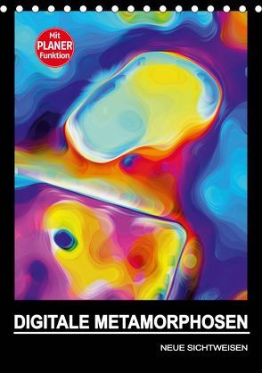 DIGITALE METAMORPHOSEN – NEUE SICHTWEISEN (Tischkalender 2019 DIN A5 hoch) von Borgulat,  Michael