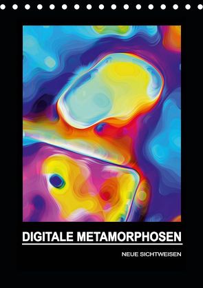 DIGITALE METAMORPHOSEN – NEUE SICHTWEISEN (Tischkalender 2020 DIN A5 hoch) von Borgulat,  Michael